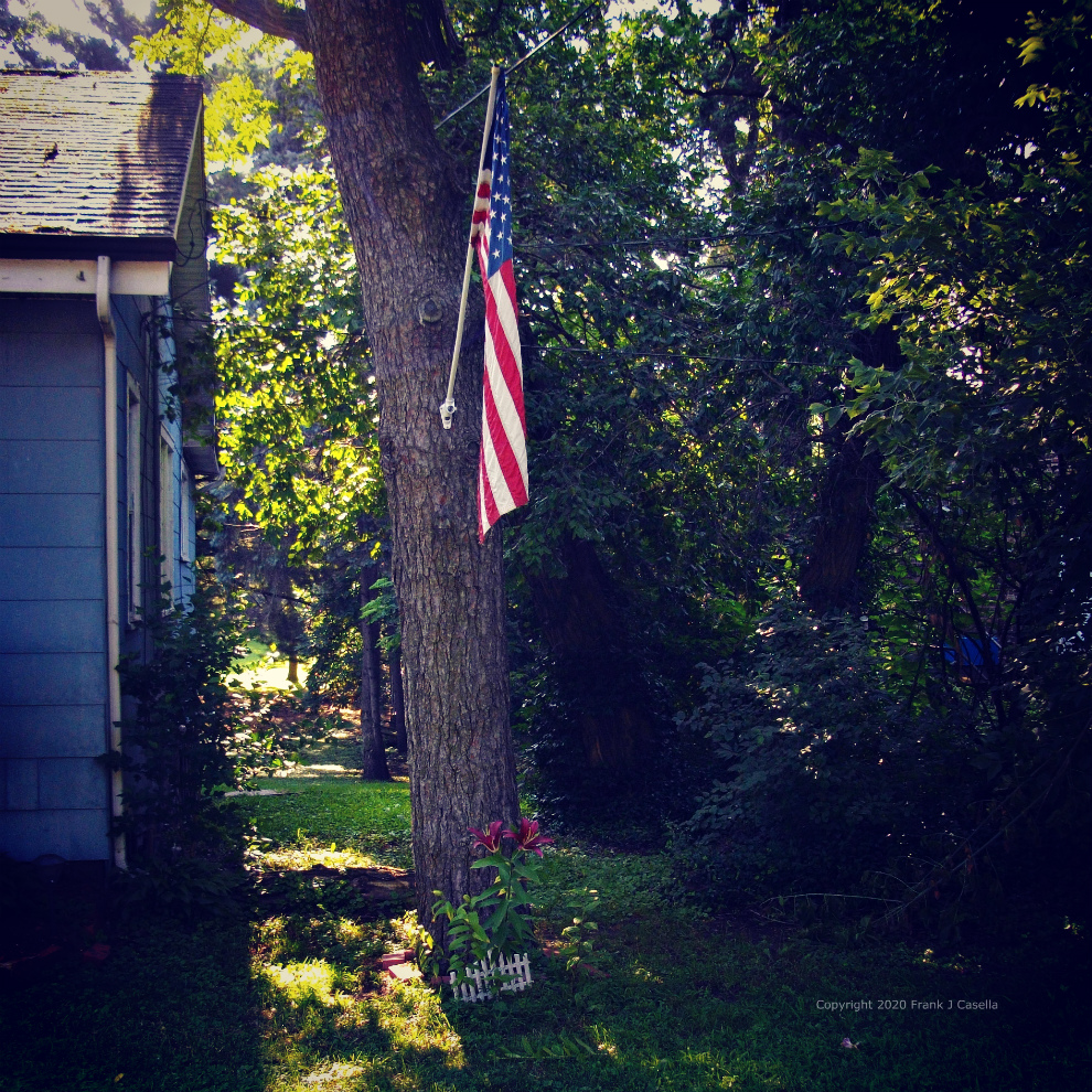 american flag, flowers, life, liberty,
